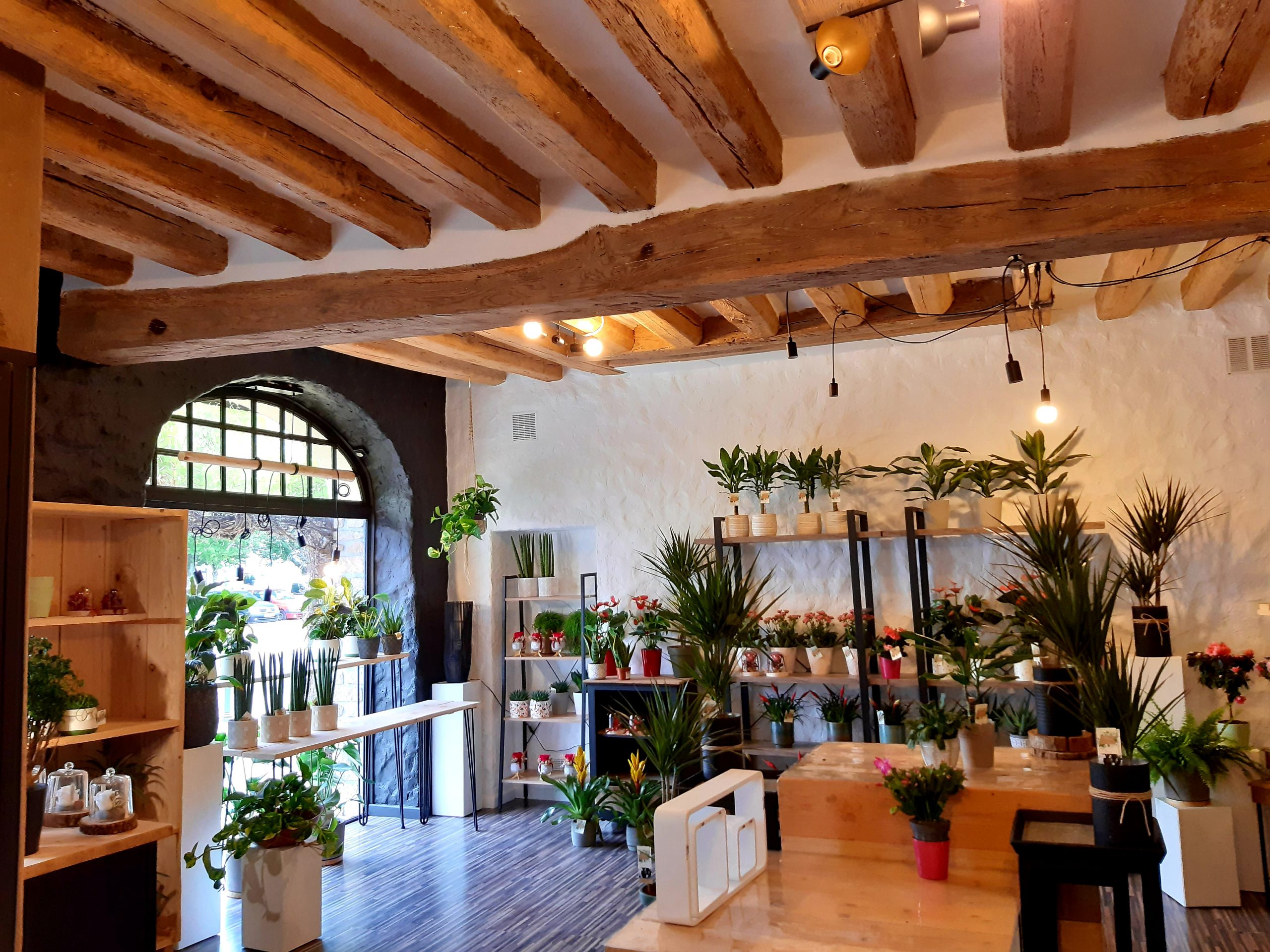 20210920 113655 scaled