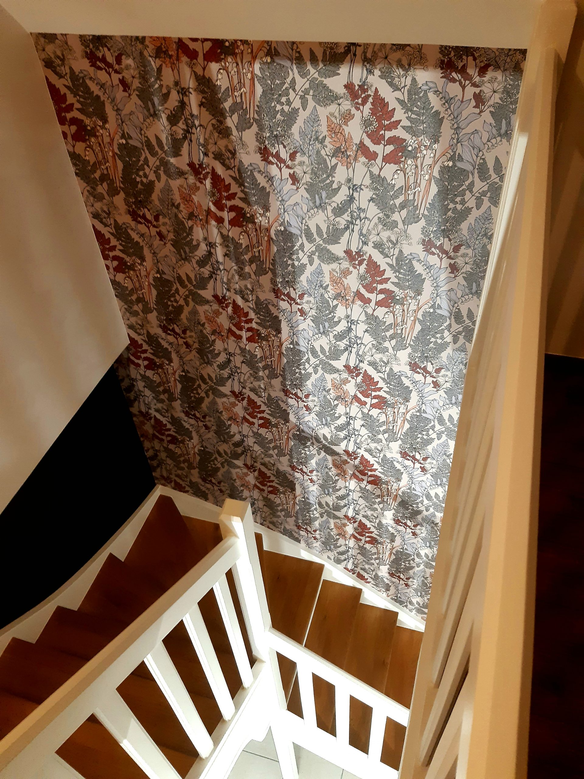 20211206 174407 scaled