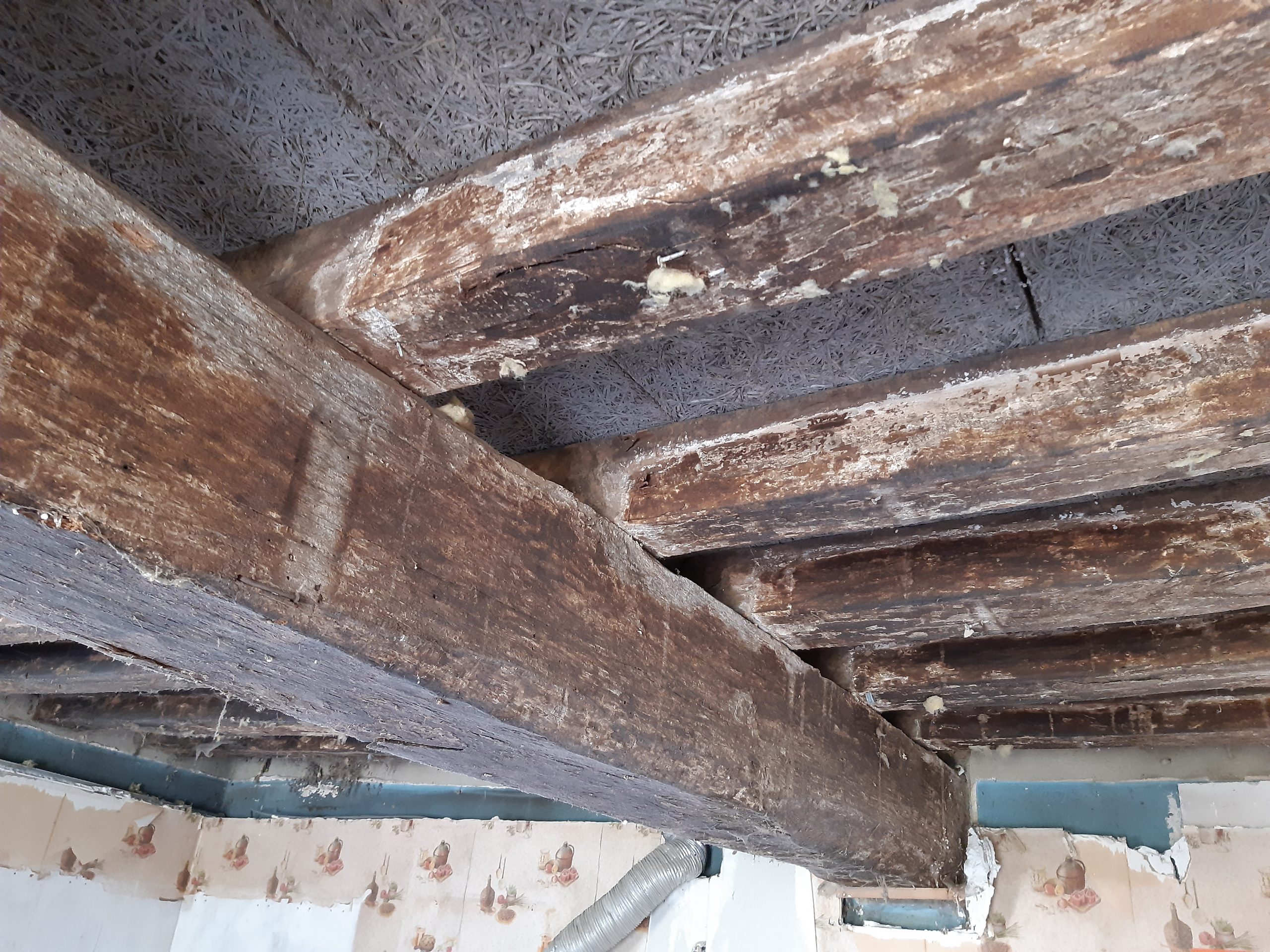 20230605 094834 scaled